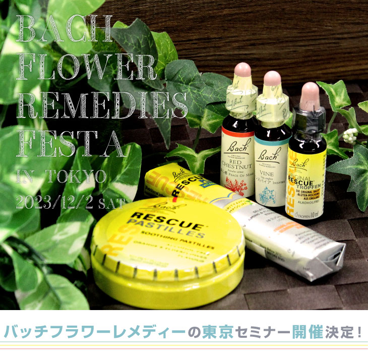 バッチフラワーレメディ＊フルセット Bach Flower Remedies - その他